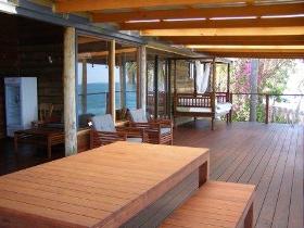 Amity Shaws - Stayed 1