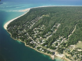 Amity Shaws - Stayed 3