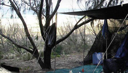 Main Beach Foreshore Camping Grounds - Stayed 0