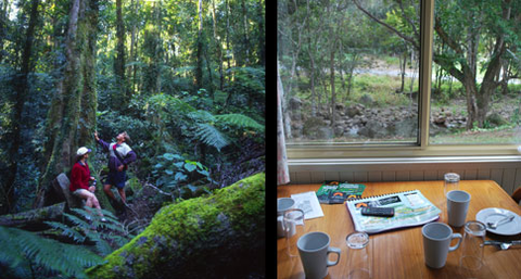 Mt Warning Rainforest Park - Stays Accommodation 7