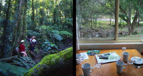 Mt Warning Rainforest Park - Stays Accommodation 17