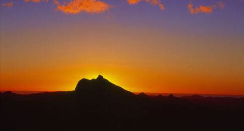 Mt Warning Rainforest Park - Stays Accommodation 19