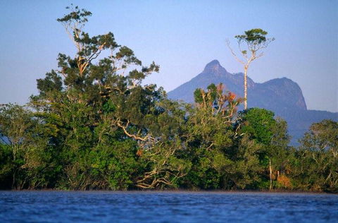 Mt Warning Rainforest Park - Stays Accommodation 20