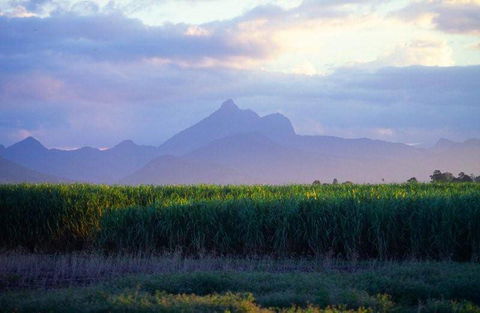 Mt Warning Rainforest Park - Stays Accommodation 21