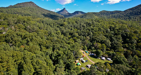 Mt Warning Rainforest Park - Stays Accommodation 13