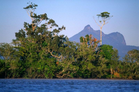 Mt Warning Rainforest Park - Stays Accommodation 15