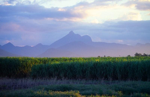 Mt Warning Rainforest Park - Stays Accommodation 16