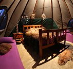 Aranyani Bison Adventure Tourist Park - Stayed