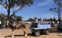 Ariah Park Camping Ground - Stays Accommodation 0