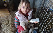 Barcoos Farmstays Bathurst - Stayed 0