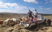 Barcoos Farmstays Bathurst - Stayed 1