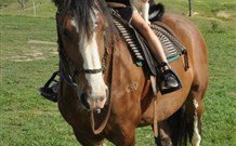 Barcoos Farmstays Bathurst - Stayed 3