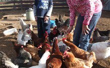 Barcoos Farmstays Bathurst - Stayed 5