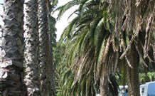 Barlings Beach Holiday Park - Stayed 2