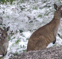 Barokee campground - Stays Accommodation