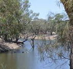 Beds on the Barwon - Stayed