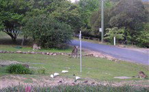 Burrinjuck Waters Holiday Park Accommodation - Stayed 2