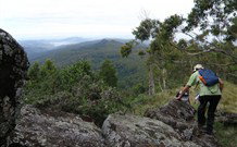 Callicoma Hill Eco-Cabins - Stayed 1