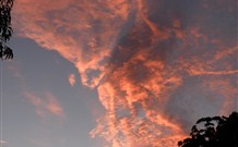 Callicoma Hill Eco-Cabins - Stayed 3