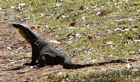 Cutters Camp Campground - Stays Accommodation 1