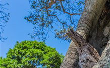 Hat Head Holiday Park - Stayed 3