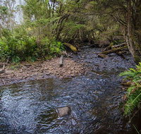 Horse Swamp campground - Stayed
