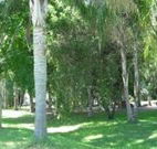 Lismore Palms Caravan Park - Stays Accommodation