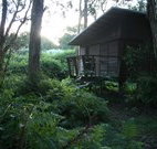 Melaleuca Surfside Backpackers - Stayed