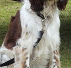 Merimbula Lake Holiday Park - Stayed