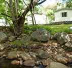 Mt Warning Rainforest Park - Stays Accommodation