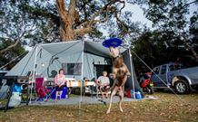 North Coast Holiday Parks North Haven - Stayed 6