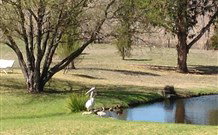 Sapphire City Caravan Park - Stayed 4