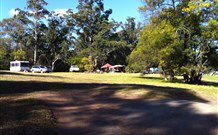 Mogood NSW Stayed