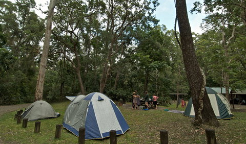 Sheepstation Creek Campground - Stayed 2