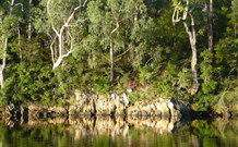The Escape Luxury Camping - Stays Accommodation 5