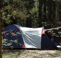 Thungutti campground - Stays Accommodation