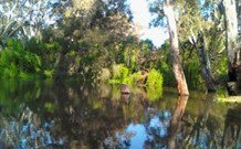 Wanganella Creek Camp Park - Stayed 2