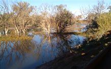 Warrawong On The Darling - Stayed 0