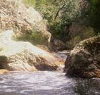 Wee Jasper Reserves Camping Sites - Stayed