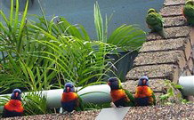 Aquajet Motel - Coffs Harbour - Stayed 4