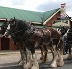 Araluen Valley Hotel - Araluen - Stays Accommodation
