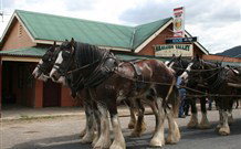Araluen Valley Hotel - Araluen - Stayed 0