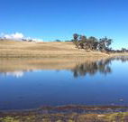 Bombala Maneroo Motel - Bombala - Stays Accommodation