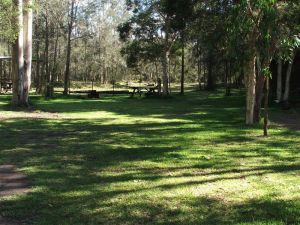 Jervis Bay Cabins And Hidden Creek Real Camping - Stayed 6