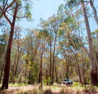 Coolah Tops National Park Camping - Stayed