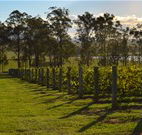 H Boutique Hotel - Pokolbin - Stayed