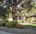 Hamilton Hume Motor Inn - Yass - Stayed