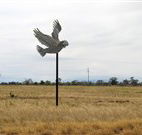 Gulargambone Hotel - Gulargambone - Stays Accommodation