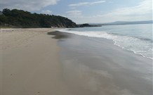 Idlewilde Town And Country Motor Inn - Stayed 1