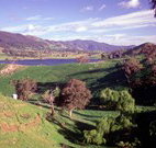 Motel Royal Tara - Binalong - Stayed